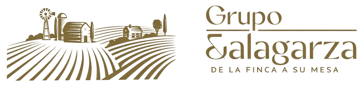 Grupo Galarza